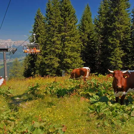 شقة Reiter-1 By Interhome *