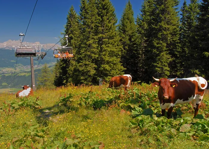 Lejlighed Reiter-1 By Interhome *